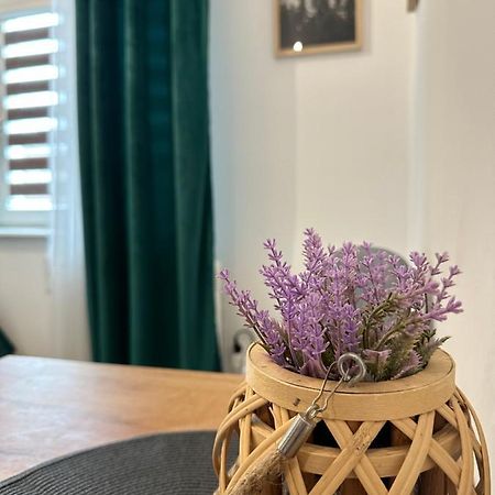 Apartament Zielony Kollataja โทมาสชูฟ มาโซเวียซกี ภายนอก รูปภาพ
