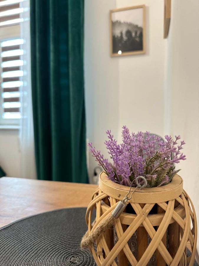 Apartament Zielony Kollataja โทมาสชูฟ มาโซเวียซกี ภายนอก รูปภาพ